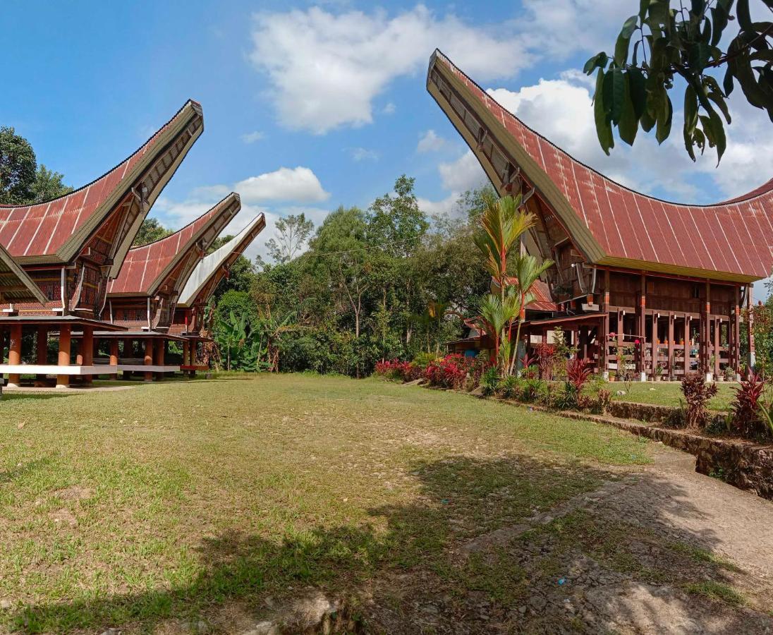 Toraja Homestay & Coffee Bunna Rantepao Eksteriør billede